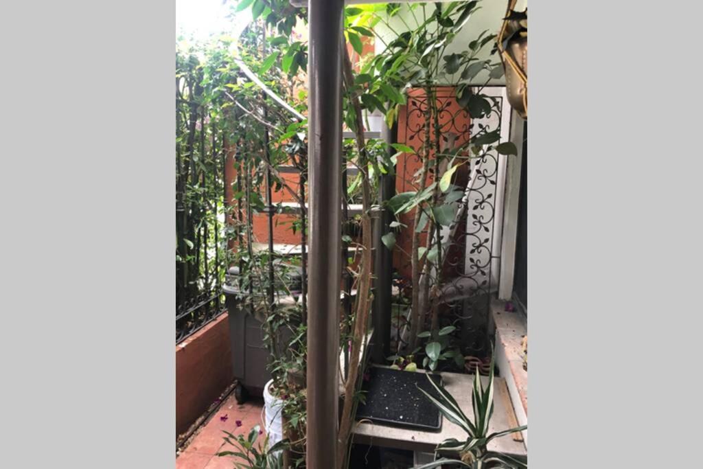 Amplia Habitacion Tipo Ejecutiva Con Bano Y Acceso Privados Toluca Bagian luar foto